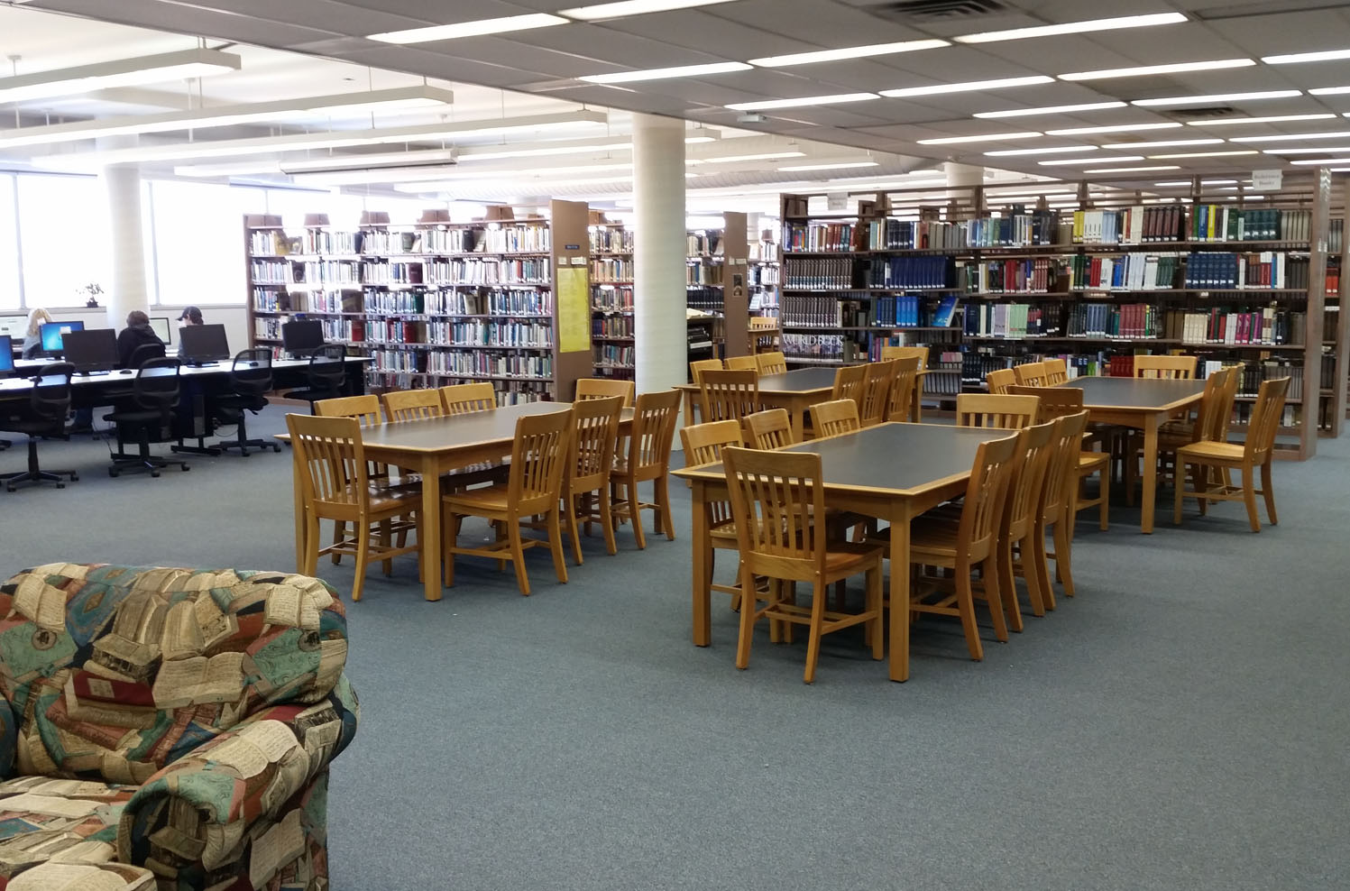 Photo of the Interior of the Anderson Library