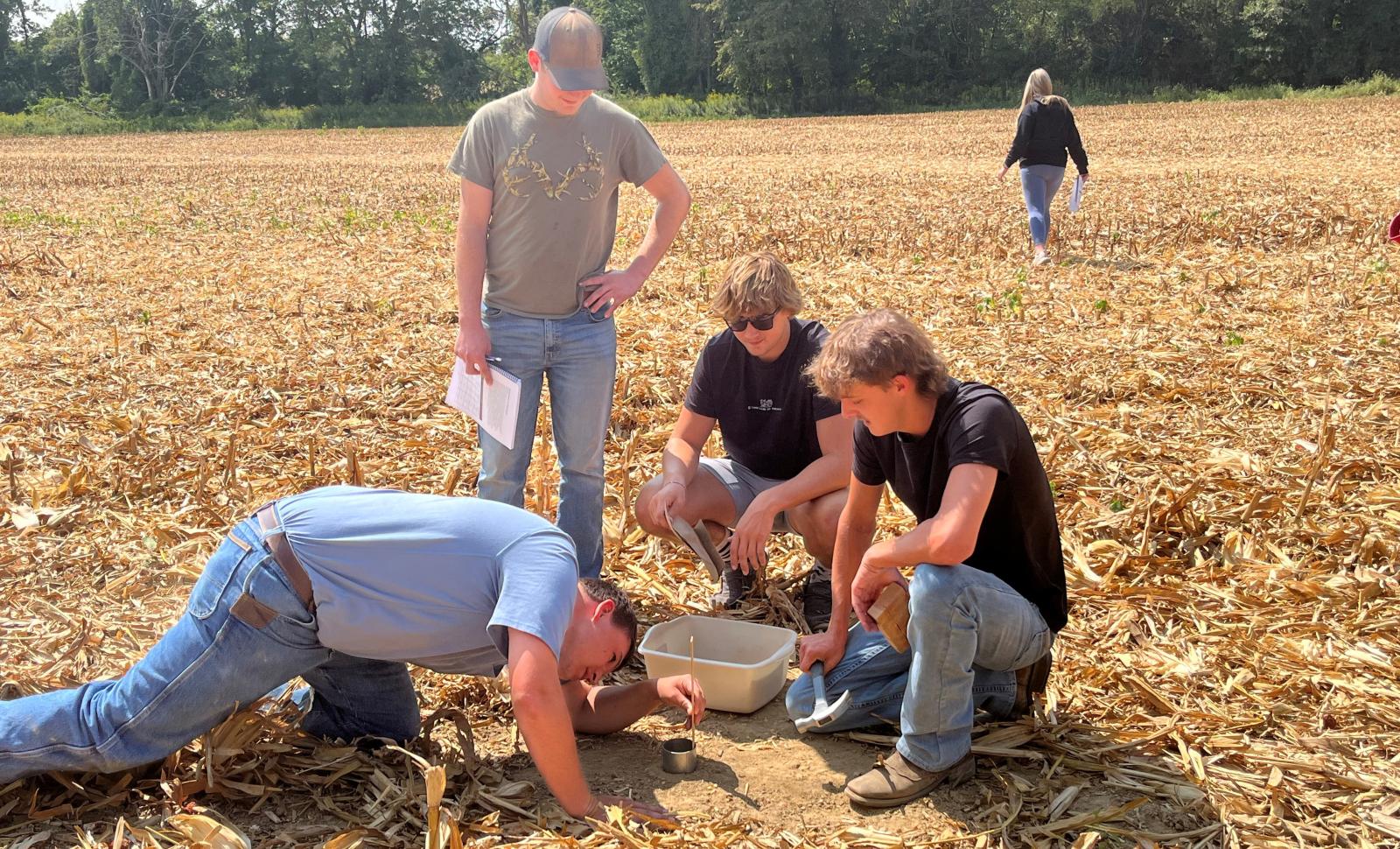 Four students in a harvested cornfield examine soil at ground level, using tools and a container, while another person walks in the background.