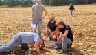 Four students in a harvested cornfield examine soil at ground level, using tools and a container, while another person walks in the background.
